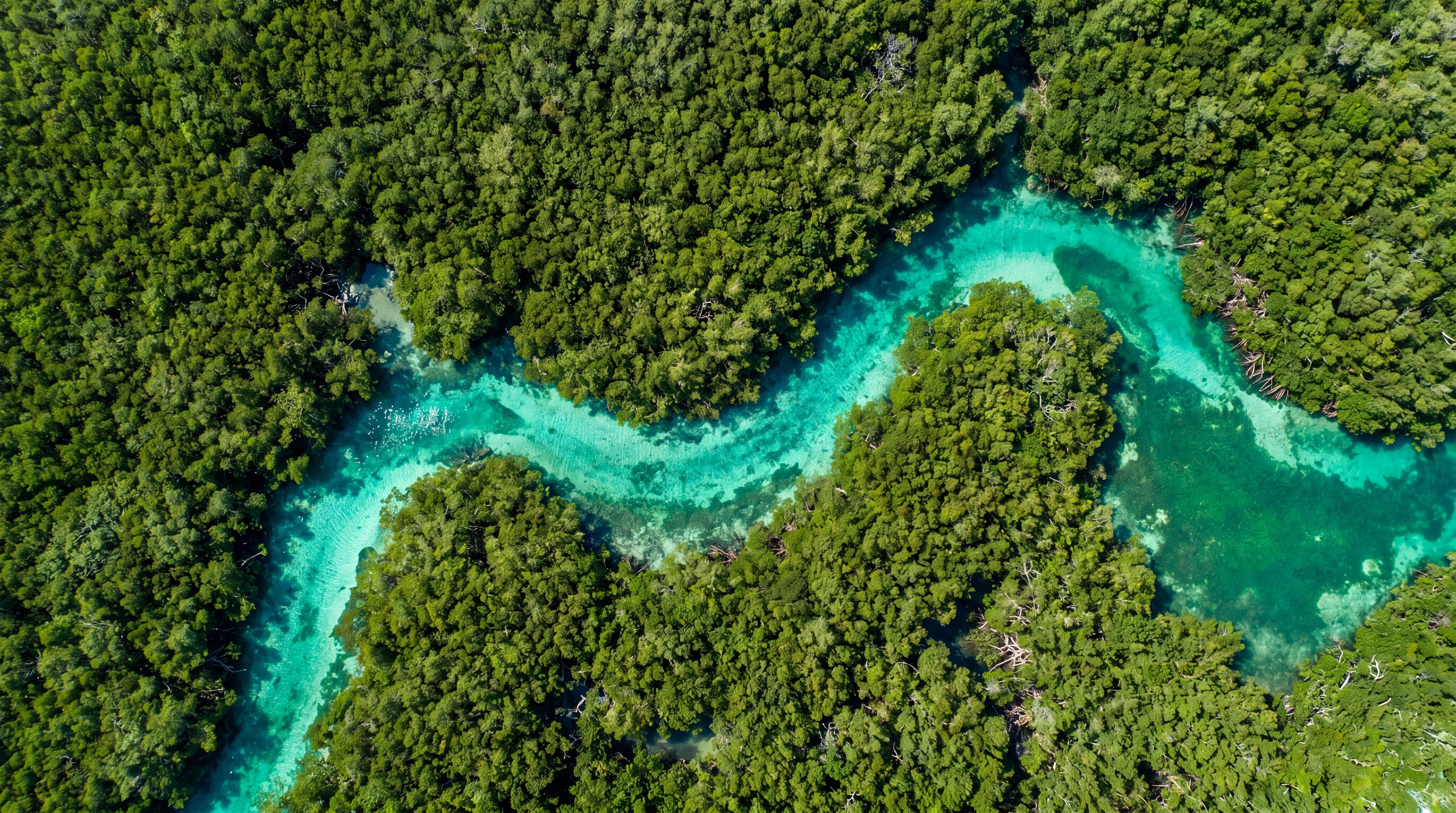Vista aérea del manglar de la Laguna Nichupté con agua turquesa serpenteando entre la vegetación